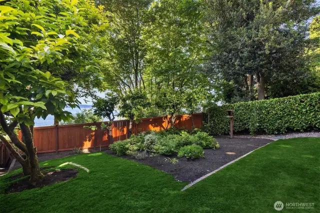 A fabulous fruit bearing garden with cherries, blueberries...