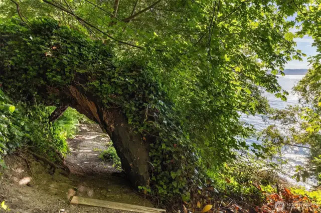 A fun switch back trail including this fabulous tree cave.