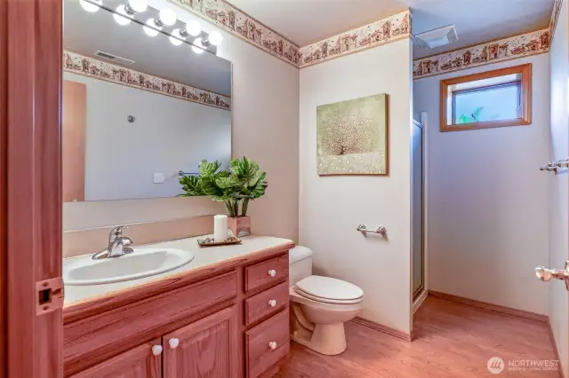 The downstairs bathroom offers a practical layout with a walk-in shower, large vanity, and natural light—ideal for guests or multigenerational living.