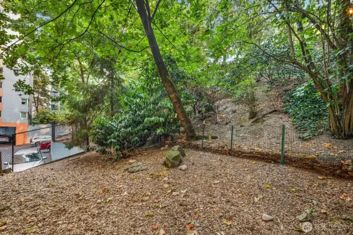 Private & fenced dog park.