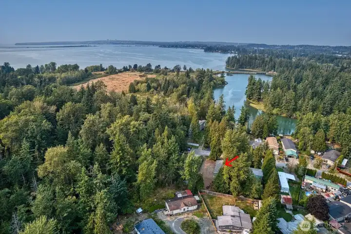 Drayton Harbor and California Creek