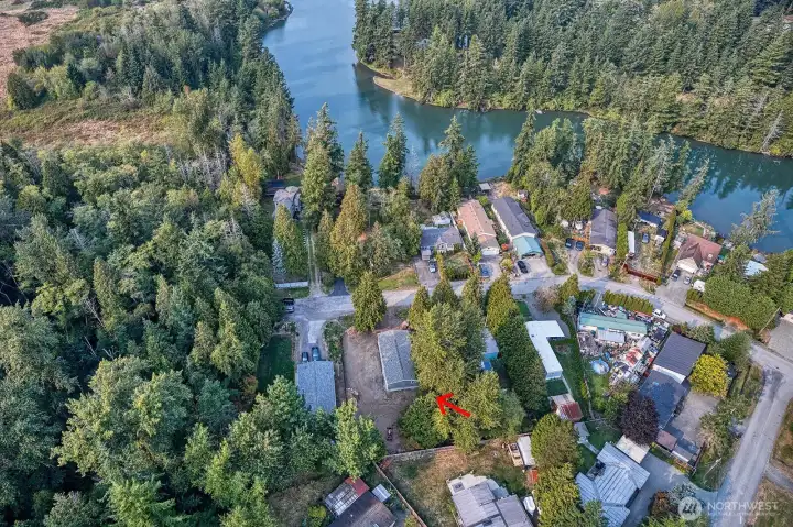 Blaine Birch Bay Park & Recreation  20 acres - Trees