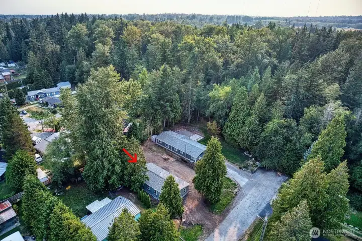 Just a house away- hike in Blaine Birch Bay Park & Recreation