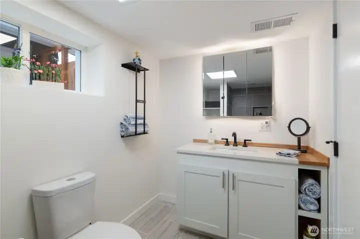 Basement Bathroom