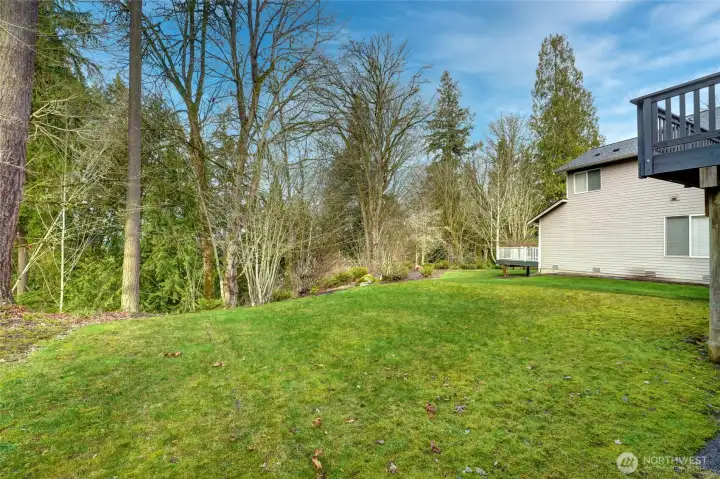 Backyard facing the green belt
