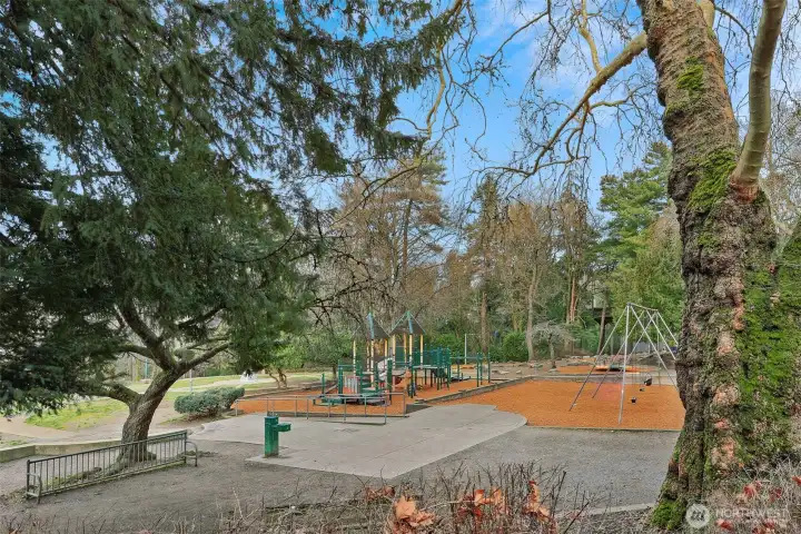 Take the kids, grandkids, or yourself to the park right across the street.  Best zip line in town!