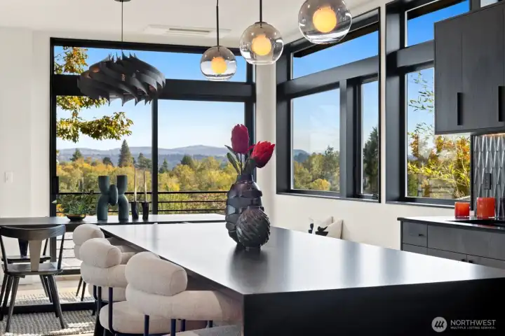 Leather absolute black granite countertops.