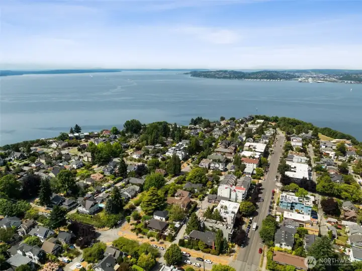 Magnolia and cruise ships to the north...