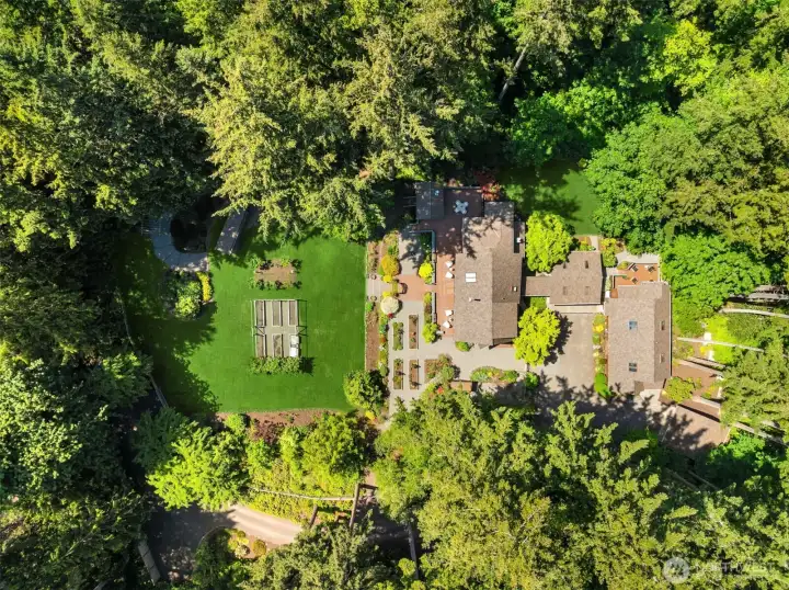 Dream Compound!