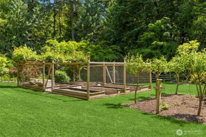 Love the deer but not in the veggie and flower beds!