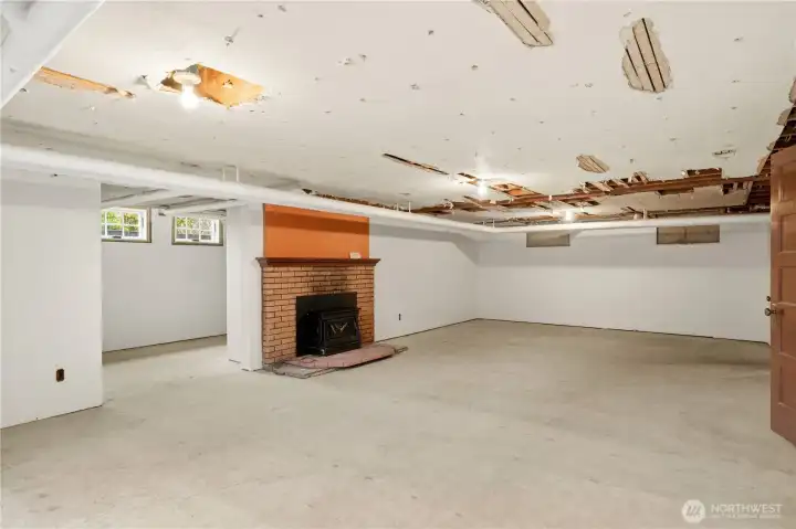 Lower Level with Fireplace