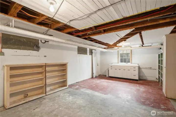 Lower Level unfinished with many possibilities