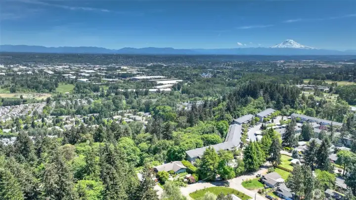 Views of the valley, the cascades, and Mt. Rainier!