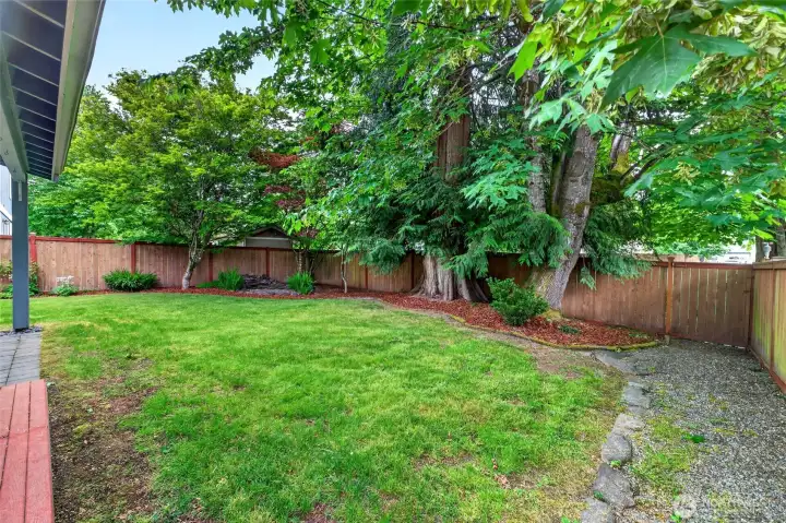 Easy easy landscaping. Easy easy landscaping.