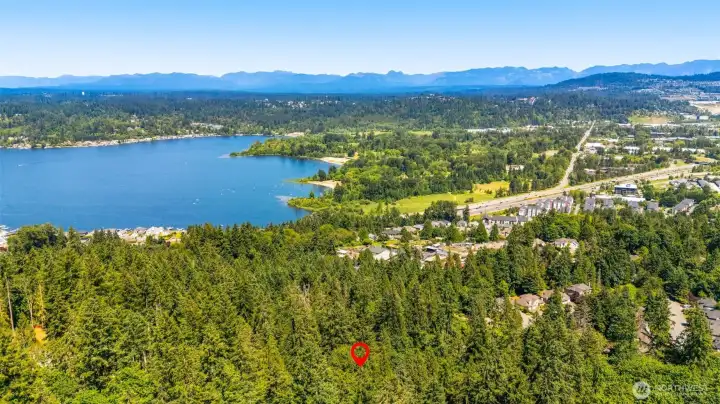Located in the award-winning Issaquah School District and near Cougar Mountain Regional Wildland Park, residents enjoy easy access to miles of hiking and biking trails, shopping, dining, and I-90.