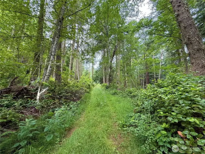 Road.