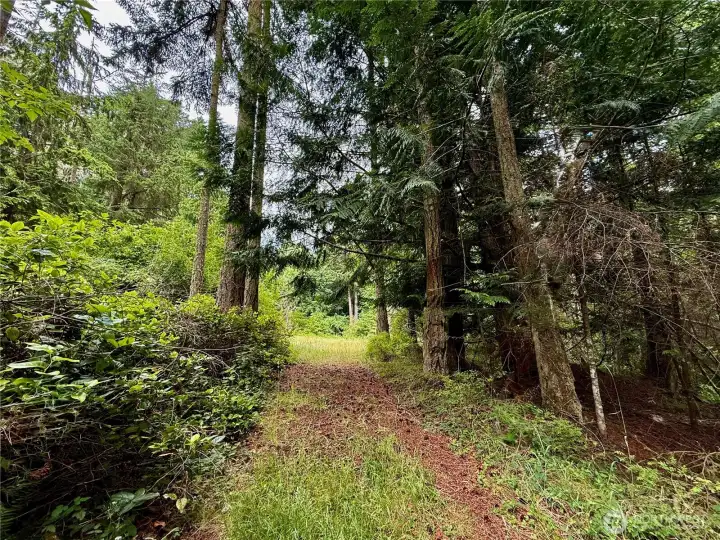 Entrance road.
