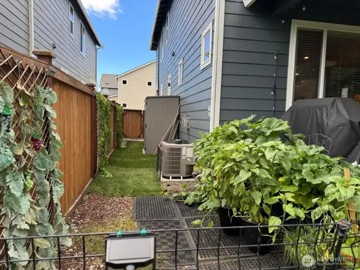 There's even plenty of space and sunlight to have a container garden. There's even plenty of space and sunlight to have a container garden.