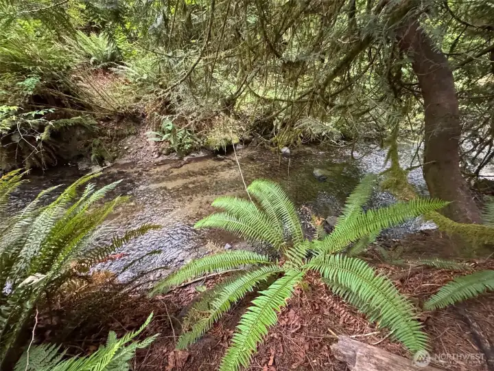 One of many Barker Creek viewpoints on the property. One of many Barker Creek viewpoints on the property.