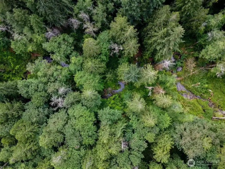 Aerial of creek approximately mid-parcel. Aerial of creek approximately mid-parcel.