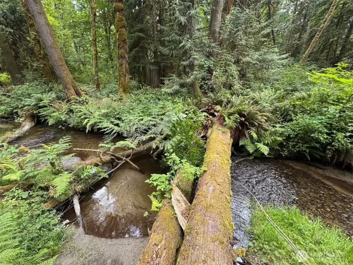 Imagine the serene creek sounds. Imagine the serene creek sounds.