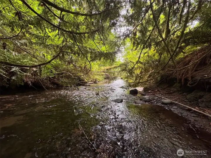 This could be your "backyard"! This could be your "backyard"!