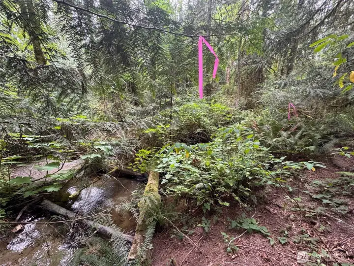 Pink tape throughout parcel indicates possible access on foot, but not a guarantee of safe passage. Enter at your own risk. Pink tape throughout parcel indicates possible access on foot, but not a guarantee of safe passage. Enter at your own risk.