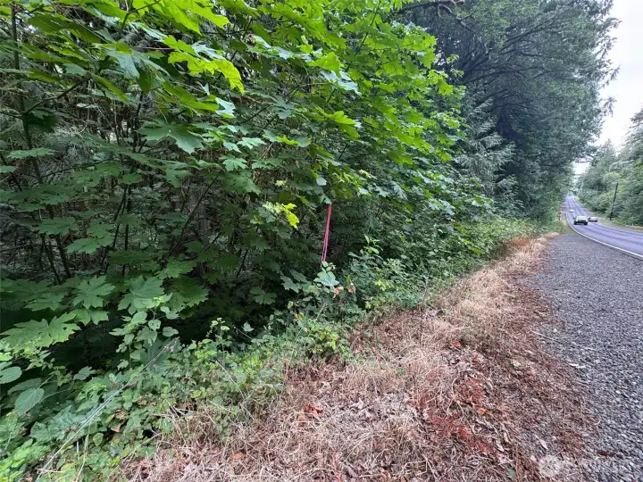 Possible location of SE corner along Nels Nelson. Culvert down below. Enter at your own risk. Easier trail access further up the road near RE sign. Possible location of SE corner along Nels Nelson. Culvert down below. Enter at your own risk. Easier trail access further up the road near RE sign.