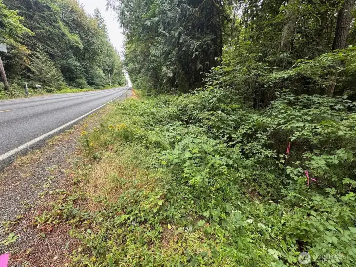Two pink ribbons mark trail access on Nels Nelson side of parcel. Enter at your own risk. Two pink ribbons mark trail access on Nels Nelson side of parcel. Enter at your own risk.