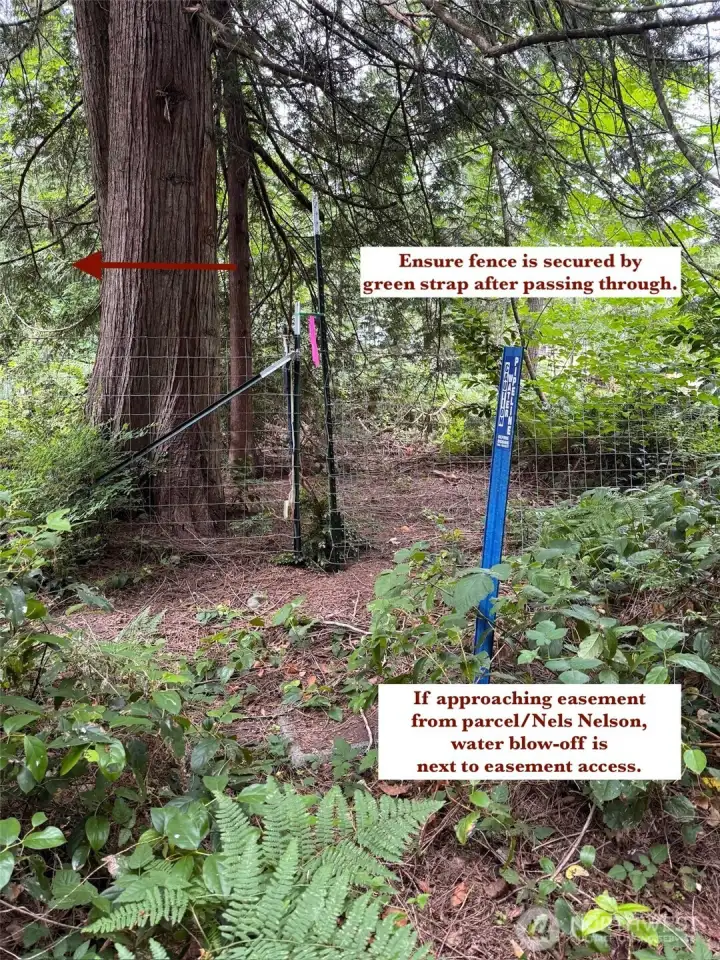 Once through the fence, pink tape shows path thru easement. Approximate corners of easement are also ribboned. Once through the fence, pink tape shows path thru easement. Approximate corners of easement are also ribboned.