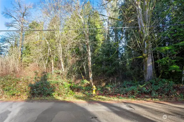 Fire Hydrant in front of property on NE 52nd St. Most likely area for driveway to potential build site.