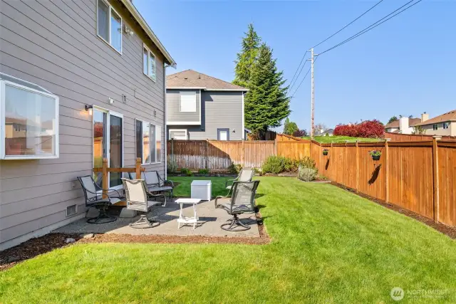 BACK YARD