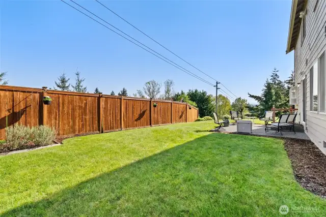 BACK YARD