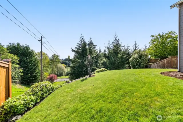 BACK YARD