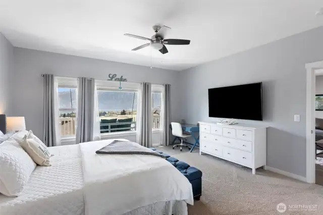 Second lower-level bedroom.
