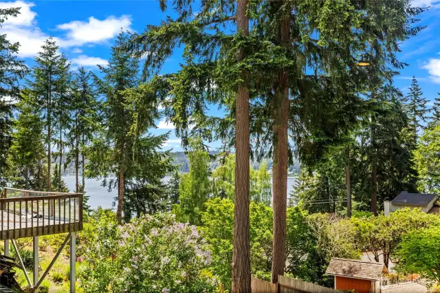 The neighbor to the left has been renovating his home, with the back deck being one the final projects. However, of the most notable improvements he made was removing some of the trees to enhance the view.