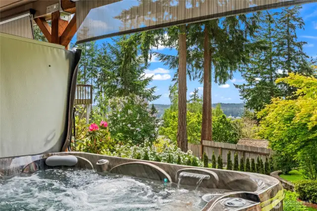 This six-person hot tub is a winter evening's dream, and a lovely addition for year-round use. It's easy to maintain and provides views of the peaceful, lush, and terraced back yard. There are pull down the screens for more privacy too.