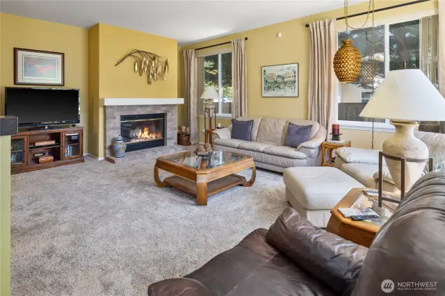 Family room view with fireplace and side yard views.