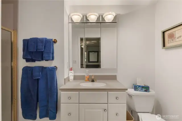 Primary ensuite