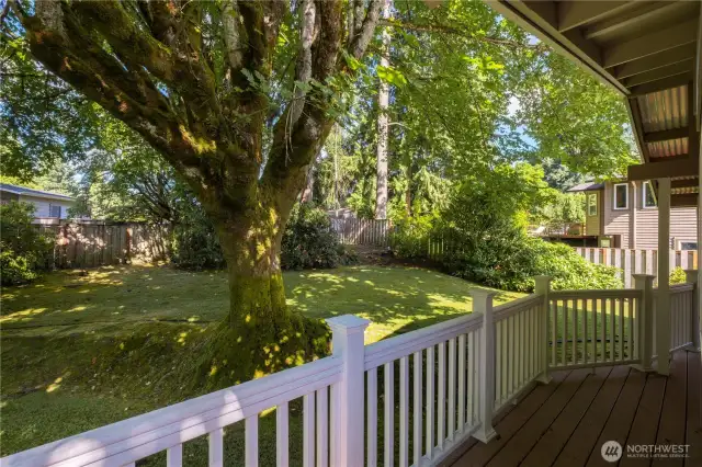 Back Deck