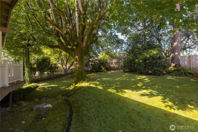 Large fully fenced yard