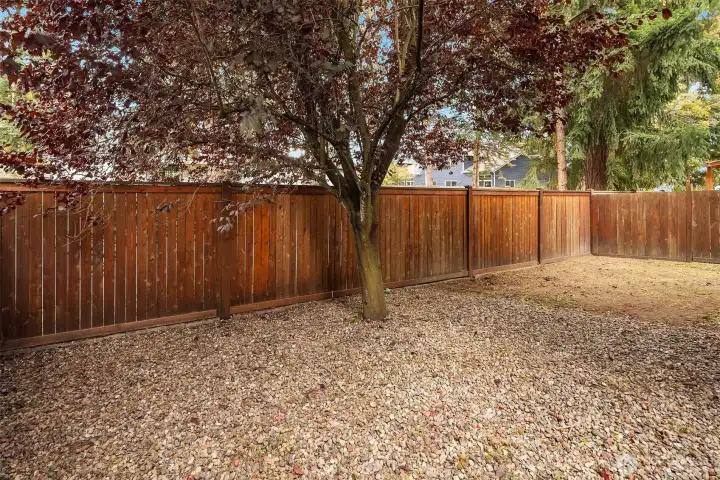 Fully Fenced Low Maintenance Backyard