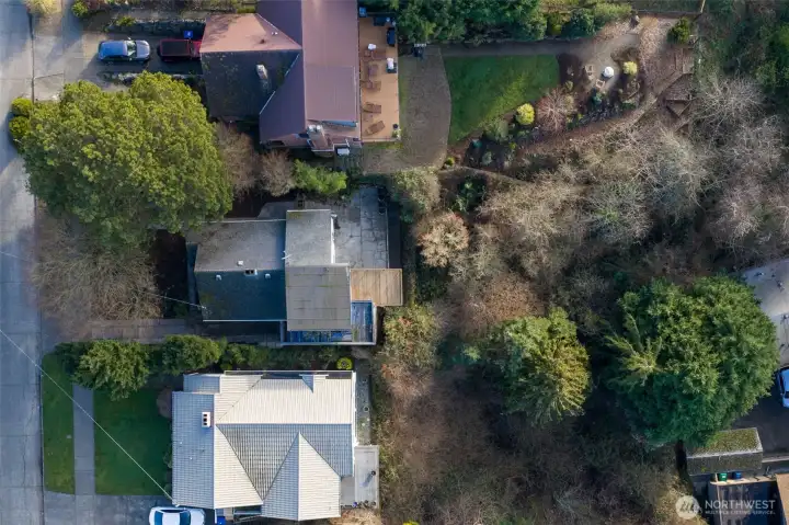 Large back yard greenbelt. Bring back the garden and mutiple trees and bushes that have been lost over time.