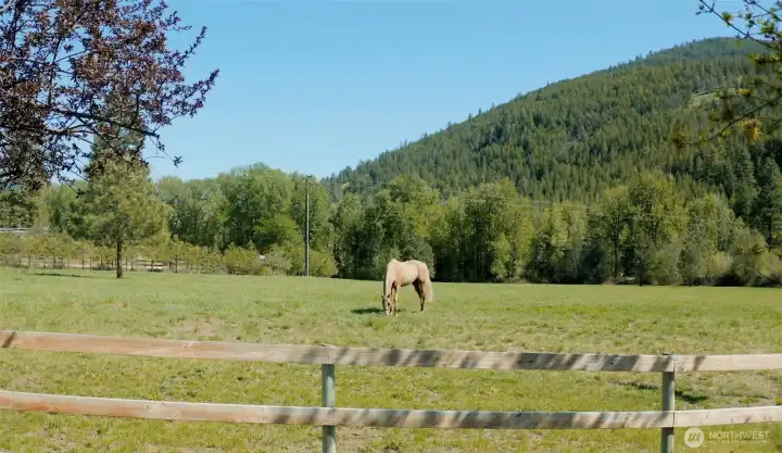 Equestrian ready!  In fact horses can drink straight from the river!