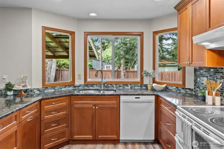 It's a bonus to have so many windows looking directly into the backyard. Also has a double oven!