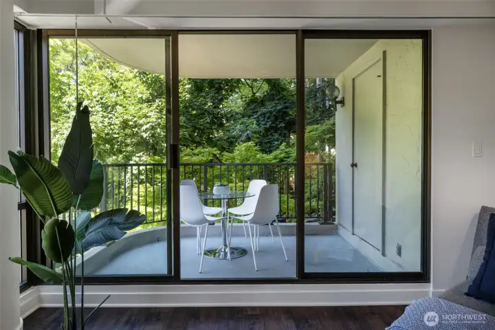 Spacious balcony with extra storage closet