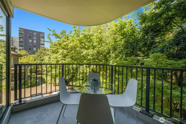 Peaceful views from balcony
