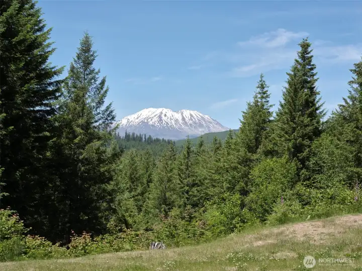 Mt. St. Helens!