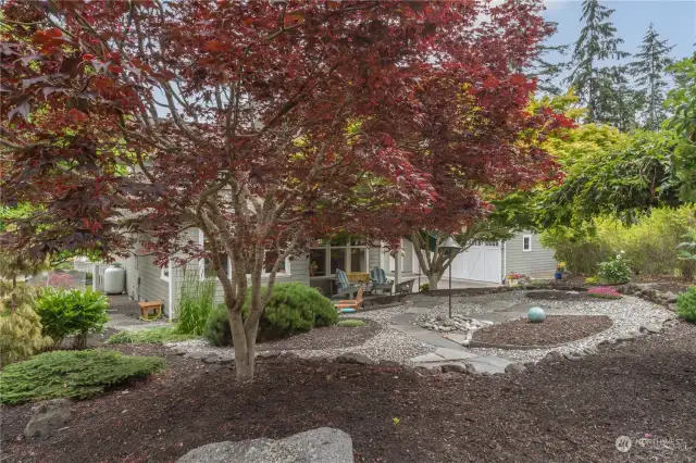 Looking at the back of the house from up on the terrace. From here you can see the side yard.