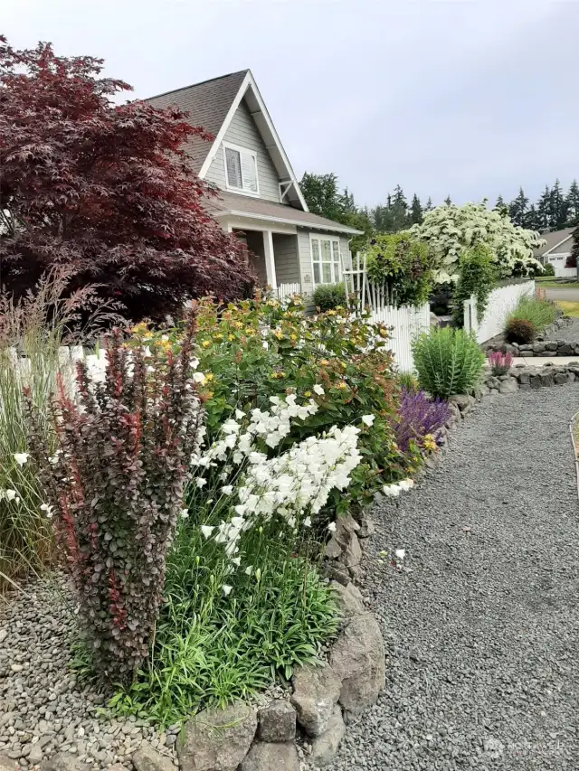 Flowers in bloom this last spring.